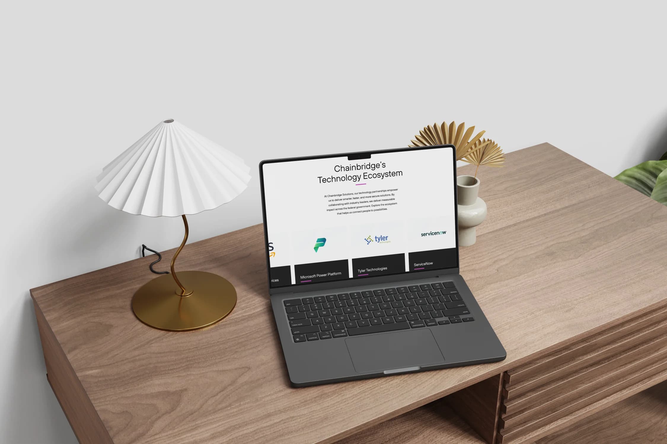 Chainbridge Solutions — view 3